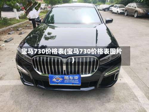宝马730价格表(宝马730价格表图片)-第2张图片