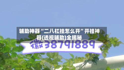 辅助神器“二八杠挂怎么开”开挂神器{透视辅助}全揭秘-第1张图片