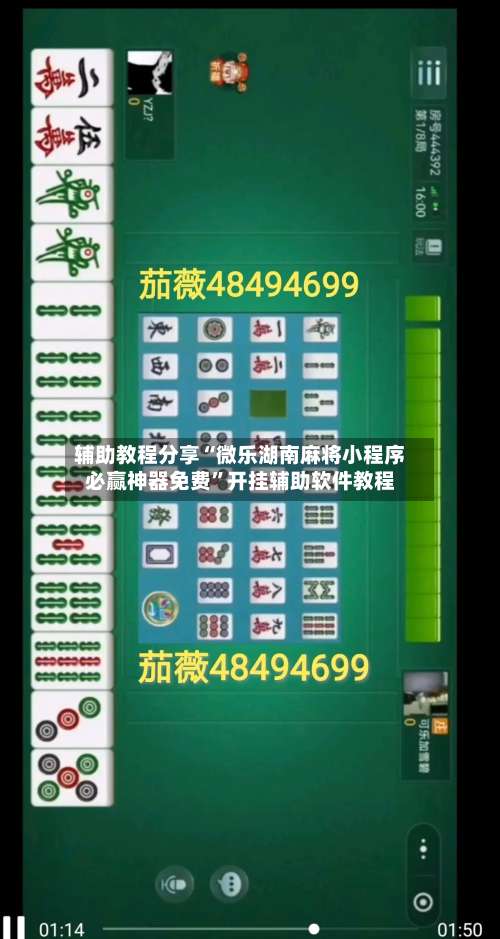 辅助教程分享“微乐湖南麻将小程序必赢神器免费”开挂辅助软件教程-第3张图片