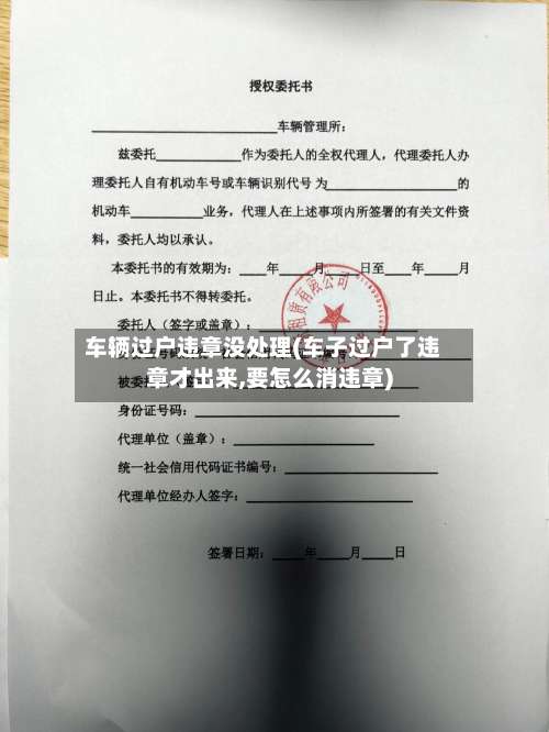 车辆过户违章没处理(车子过户了违章才出来,要怎么消违章)-第2张图片