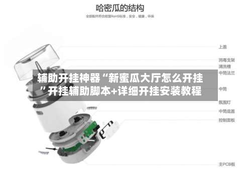 辅助开挂神器“新蜜瓜大厅怎么开挂”开挂辅助脚本+详细开挂安装教程-第2张图片