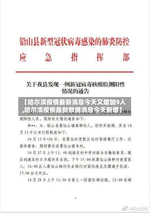 【哈尔滨疫情最新消息今天又增加9人,哈尔滨疫情最新数据消息今天新增】-第3张图片