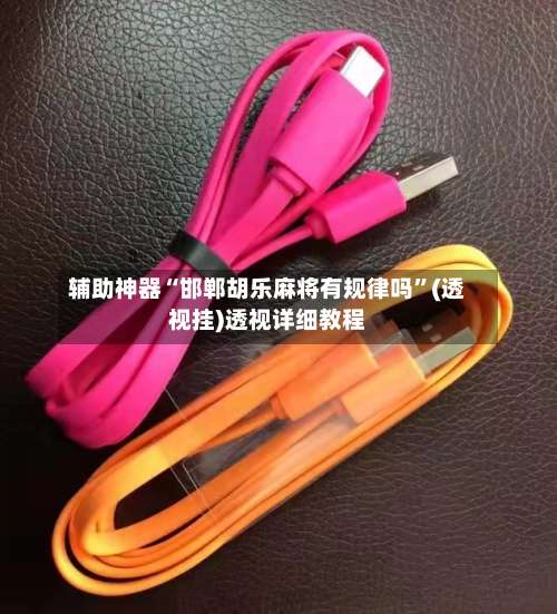 辅助神器“邯郸胡乐麻将有规律吗”(透视挂)透视详细教程-第3张图片