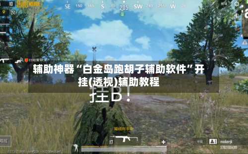 辅助神器“白金岛跑胡子辅助软件	”开挂(透视)辅助教程-第1张图片