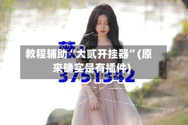 教程辅助“大贰开挂器”(原来确实是有插件)-第1张图片