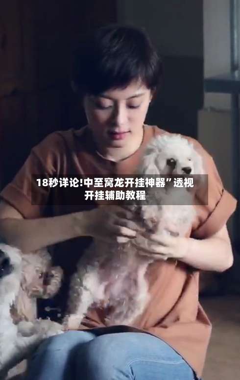 18秒详论!中至窝龙开挂神器”透视开挂辅助教程-第2张图片