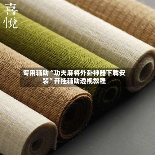 专用辅助“功夫麻将外卦神器下载安装”开挂辅助透视教程-第3张图片