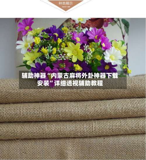 辅助神器“内蒙古麻将外卦神器下载安装	”详细透视辅助教程-第1张图片