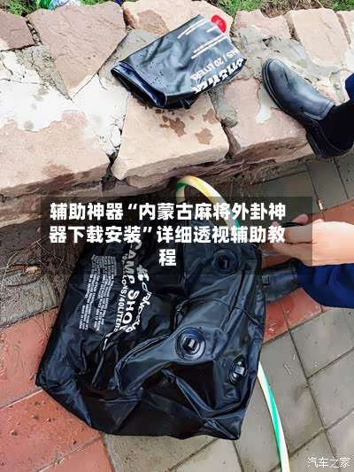 辅助神器“内蒙古麻将外卦神器下载安装”详细透视辅助教程-第3张图片