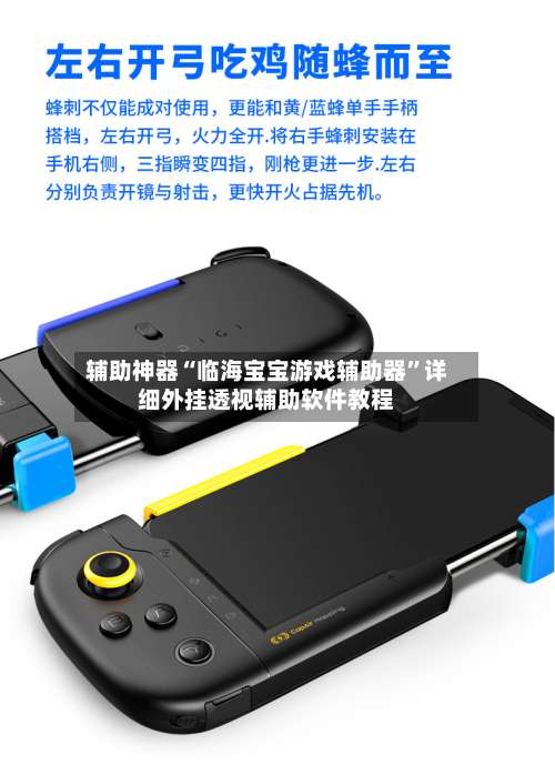 辅助神器“临海宝宝游戏辅助器”详细外挂透视辅助软件教程-第1张图片