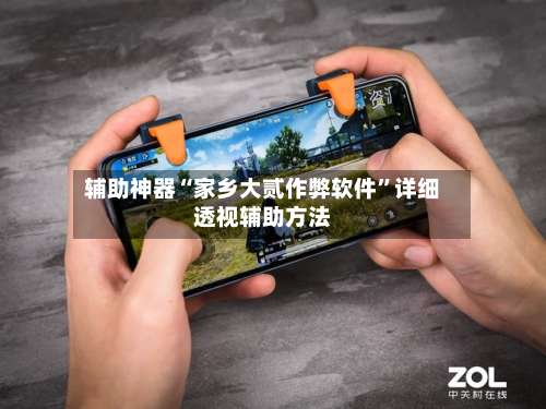 辅助神器“家乡大贰作弊软件”详细透视辅助方法-第1张图片