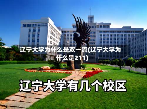 辽宁大学为什么是双一流(辽宁大学为什么是211)-第3张图片