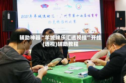 辅助神器“羊城牌乐汇透视挂	”开挂(透视)辅助教程-第2张图片