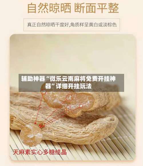 辅助神器“微乐云南麻将免费开挂神器”详细开挂玩法-第1张图片