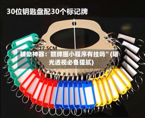 辅助神器：赣牌圈小程序有挂吗”(曝光透视必备猫腻)-第1张图片
