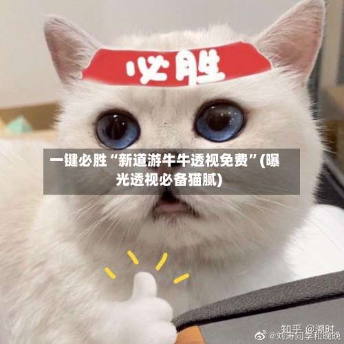 一键必胜“新道游牛牛透视免费”(曝光透视必备猫腻)-第1张图片