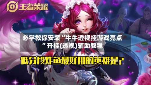 必学教你安装“牛牛透视挂游戏亮点”开挂(透视)辅助教程-第2张图片