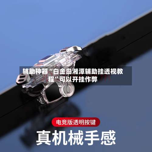 辅助神器“白金岛湘潭辅助挂透视教程”可以开挂作弊-第3张图片