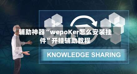 辅助神器“wepoKer怎么安装挂件”开挂辅助教程-第1张图片