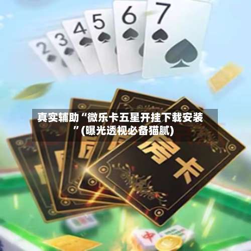 真实辅助“微乐卡五星开挂下载安装”(曝光透视必备猫腻)-第2张图片