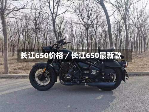 长江650价格／长江650最新款-第1张图片