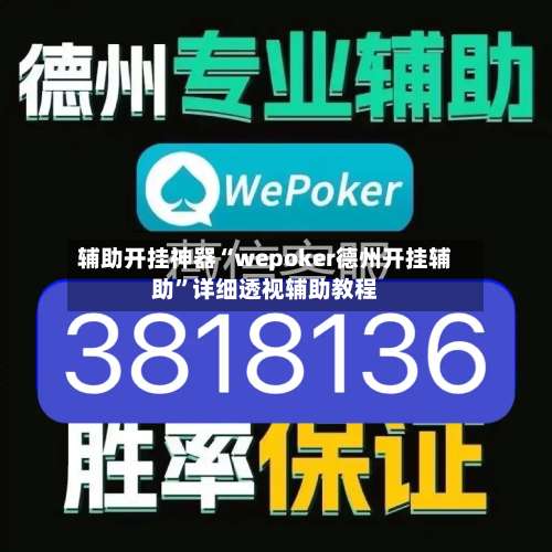 辅助开挂神器“wepoker德州开挂辅助”详细透视辅助教程-第2张图片