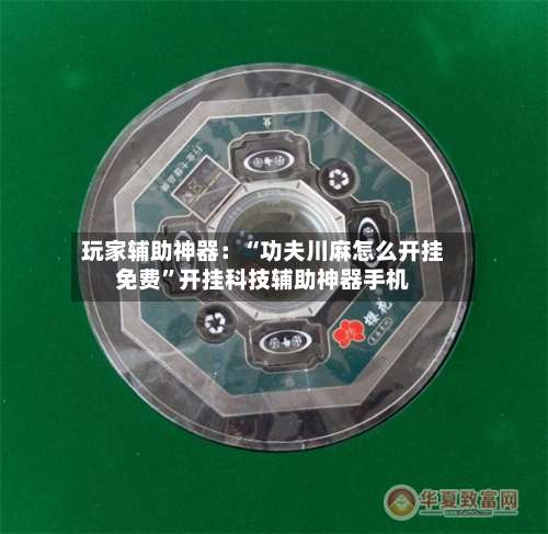 玩家辅助神器：“功夫川麻怎么开挂免费”开挂科技辅助神器手机-第3张图片