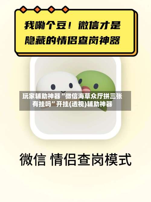 玩家辅助神器“微信海草众厅拼三张有挂吗”开挂(透视)辅助神器-第2张图片