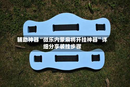 辅助神器“微乐内蒙麻将开挂神器	”详细分享装挂步骤-第2张图片