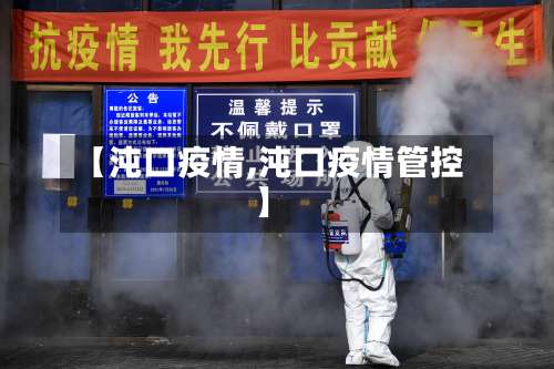 【沌口疫情,沌口疫情管控】-第2张图片