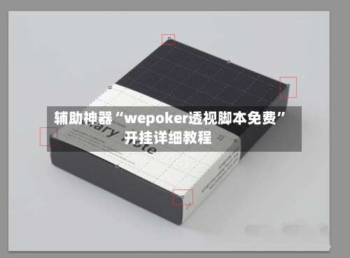 辅助神器“wepoker透视脚本免费”开挂详细教程-第3张图片