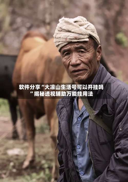 软件分享“大凉山生活号可以开挂吗”揭秘透视辅助万能挂用法-第3张图片