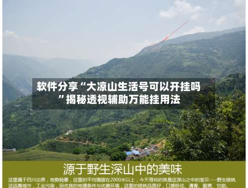 软件分享“大凉山生活号可以开挂吗	”揭秘透视辅助万能挂用法-第1张图片