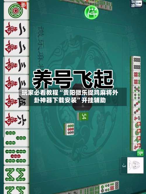 玩家必看教程“贵阳微乐捉鸡麻将外卦神器下载安装”开挂辅助-第3张图片