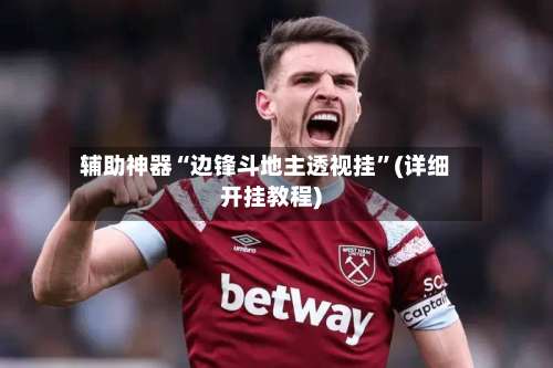 辅助神器“边锋斗地主透视挂”(详细开挂教程)-第1张图片