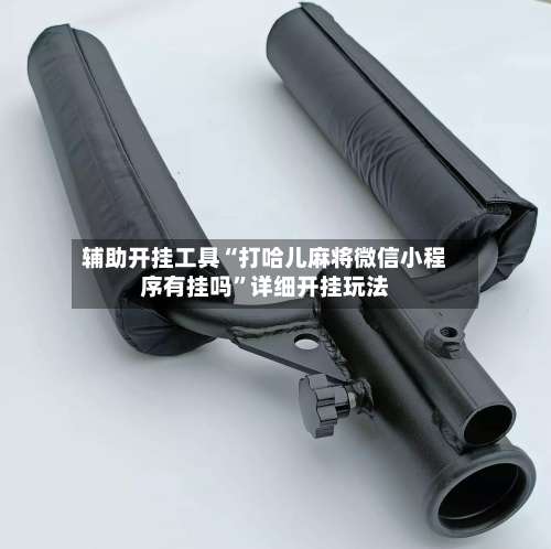 辅助开挂工具“打哈儿麻将微信小程序有挂吗”详细开挂玩法-第1张图片