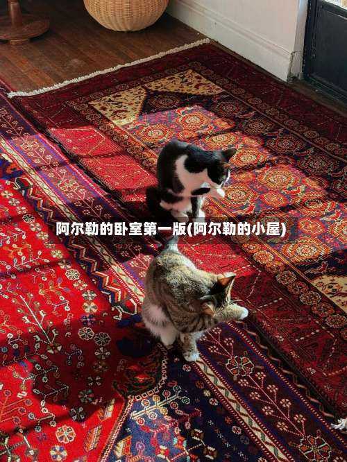 阿尔勒的卧室第一版(阿尔勒的小屋)-第2张图片