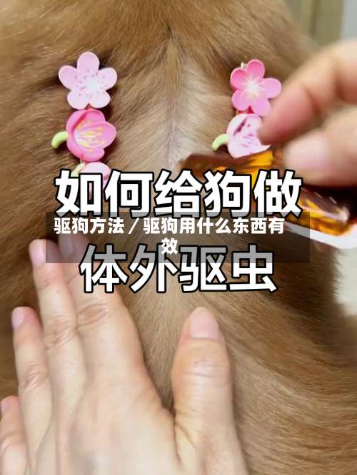 驱狗方法／驱狗用什么东西有效-第1张图片