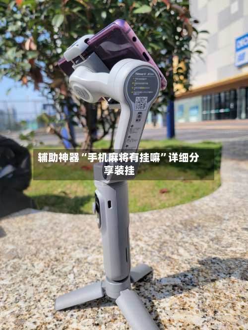 辅助神器“手机麻将有挂嘛	”详细分享装挂-第2张图片