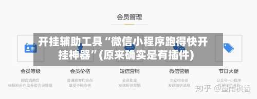 开挂辅助工具“微信小程序跑得快开挂神器	”(原来确实是有插件)-第2张图片