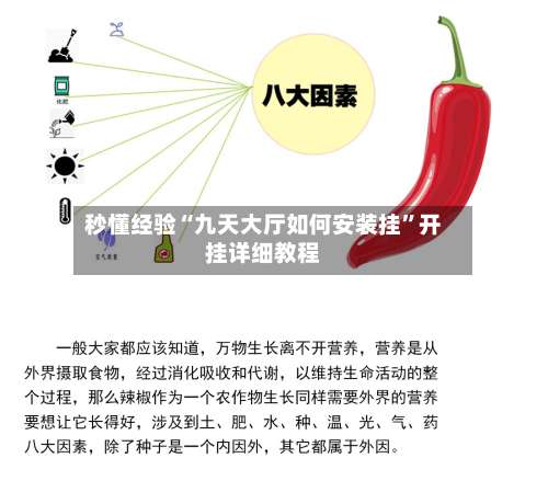 秒懂经验“九天大厅如何安装挂	”开挂详细教程-第2张图片