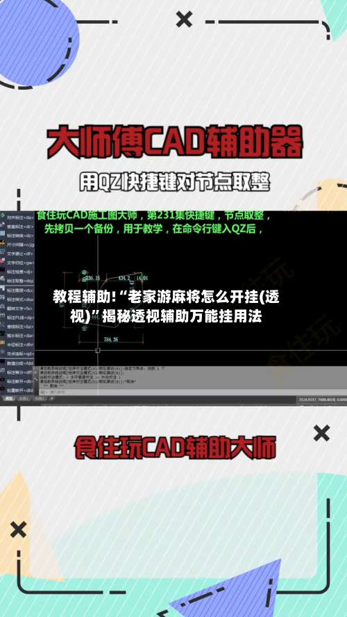 教程辅助!“老家游麻将怎么开挂(透视)”揭秘透视辅助万能挂用法-第1张图片