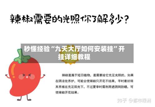 秒懂经验“九天大厅如何安装挂”开挂详细教程-第3张图片