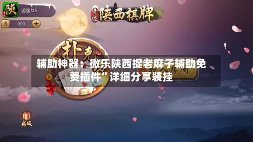 辅助神器：微乐陕西捉老麻子辅助免费插件	”详细分享装挂-第3张图片