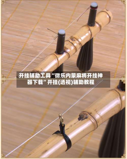 开挂辅助工具“微乐内蒙麻将开挂神器下载”开挂(透视)辅助教程-第3张图片