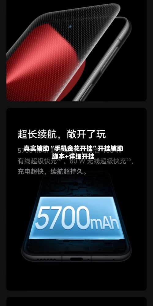 真实辅助“手机金花开挂”开挂辅助脚本+详细开挂-第1张图片