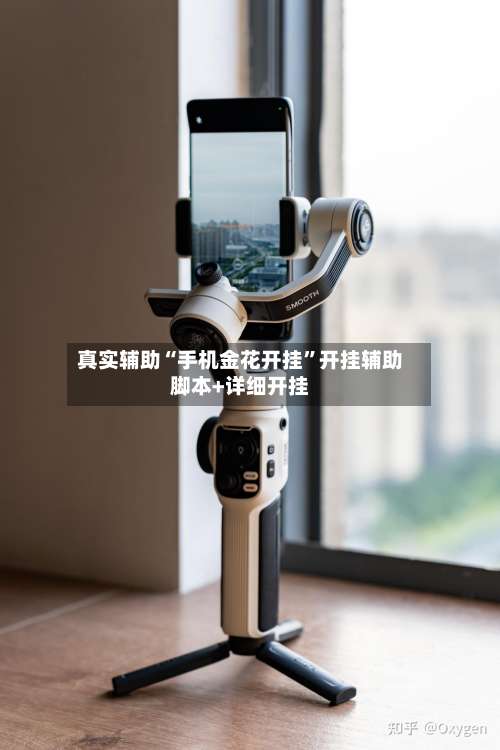 真实辅助“手机金花开挂”开挂辅助脚本+详细开挂-第3张图片