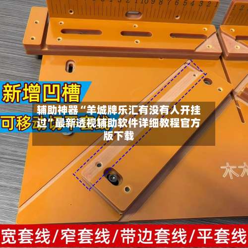 辅助神器“羊城牌乐汇有没有人开挂过	”最新透视辅助软件详细教程官方版下载-第1张图片