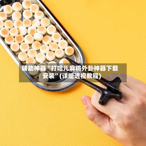 辅助神器“打哈儿麻将外卦神器下载安装	”(详细透视教程)-第2张图片