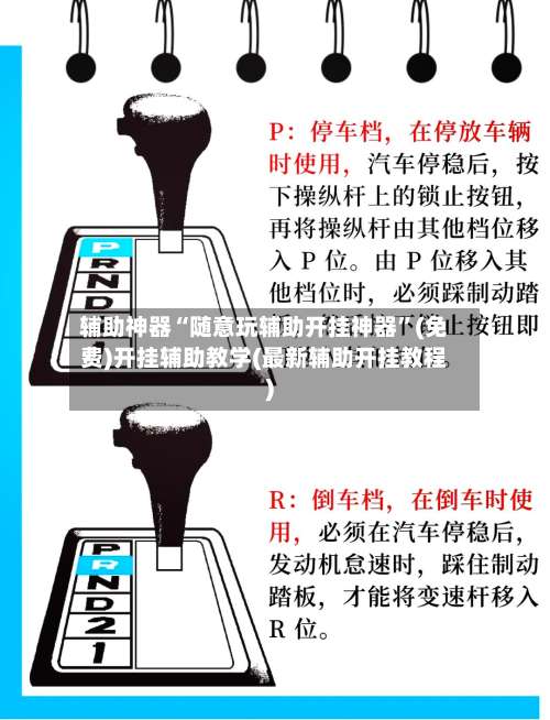 辅助神器“随意玩辅助开挂神器	”(免费)开挂辅助教学(最新辅助开挂教程)-第1张图片